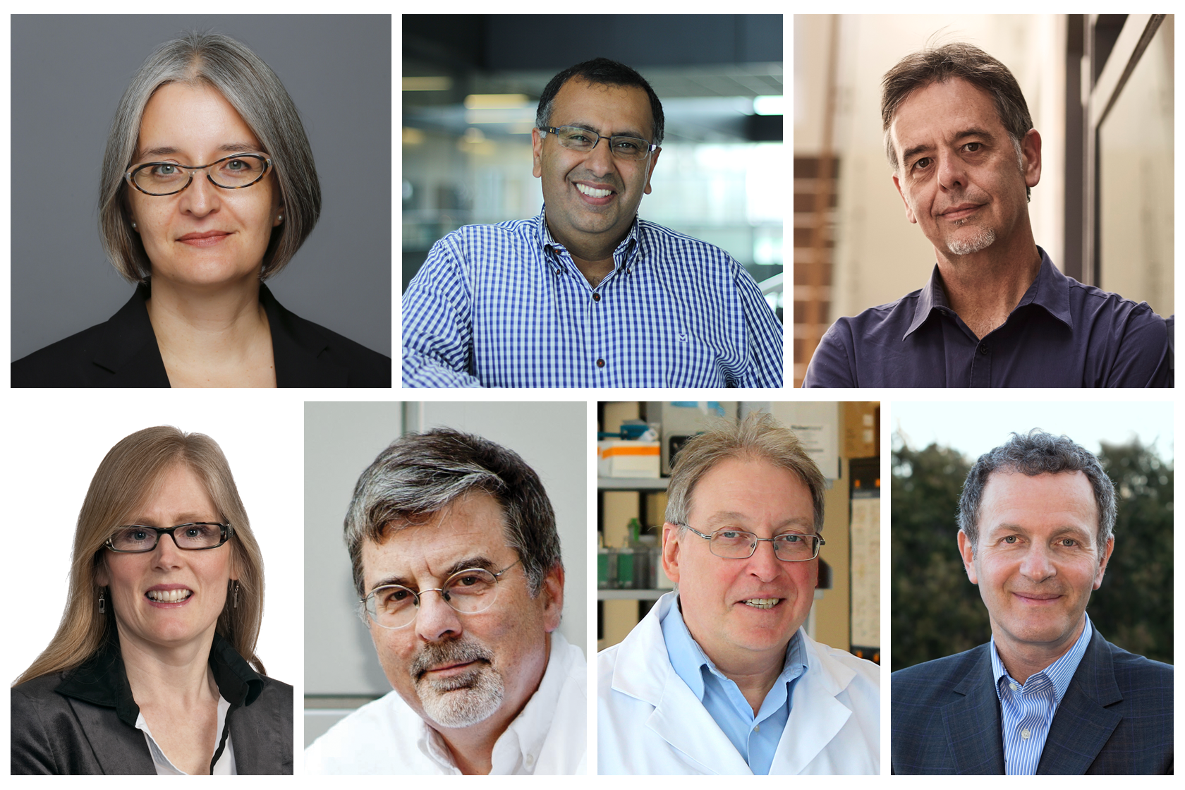 Photos for President's Impact Awards